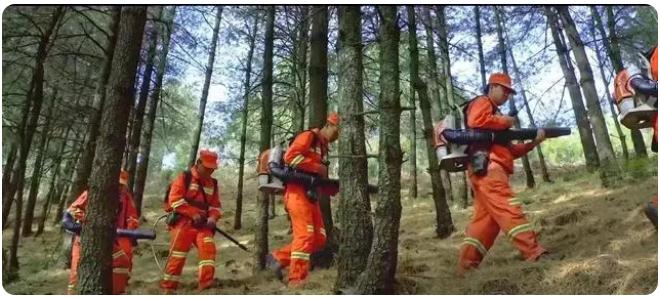 全市森林草原防火期結束,嵩明持續筑牢森林“防火墻”